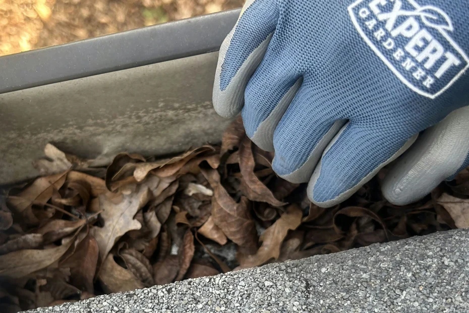 Gutter Cleaning Hamilton NJ