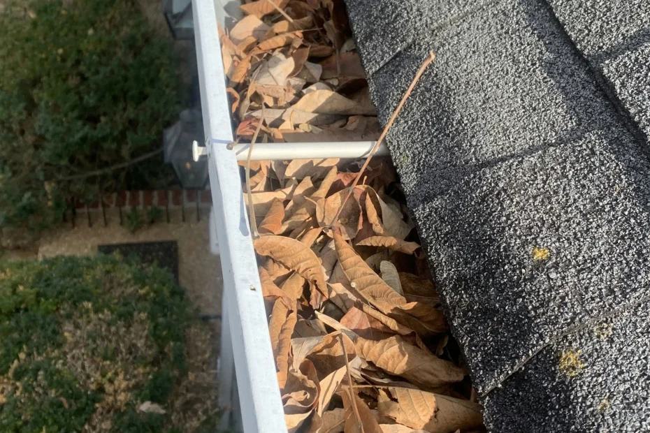 Gutter Cleaning Hamilton NJ